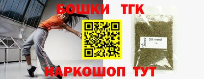 СК Бийск