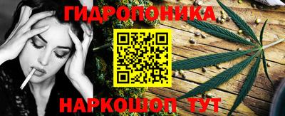 прущие крисы Беслан