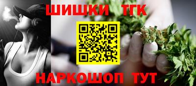 СК Бийск